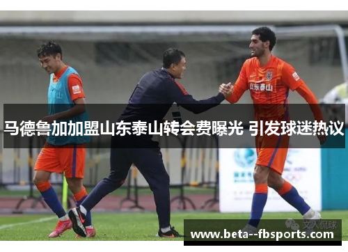马德鲁加加盟山东泰山转会费曝光 引发球迷热议
