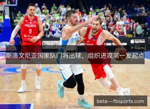 斯洛文尼亚国家队门将出球，组织进攻第一发起点